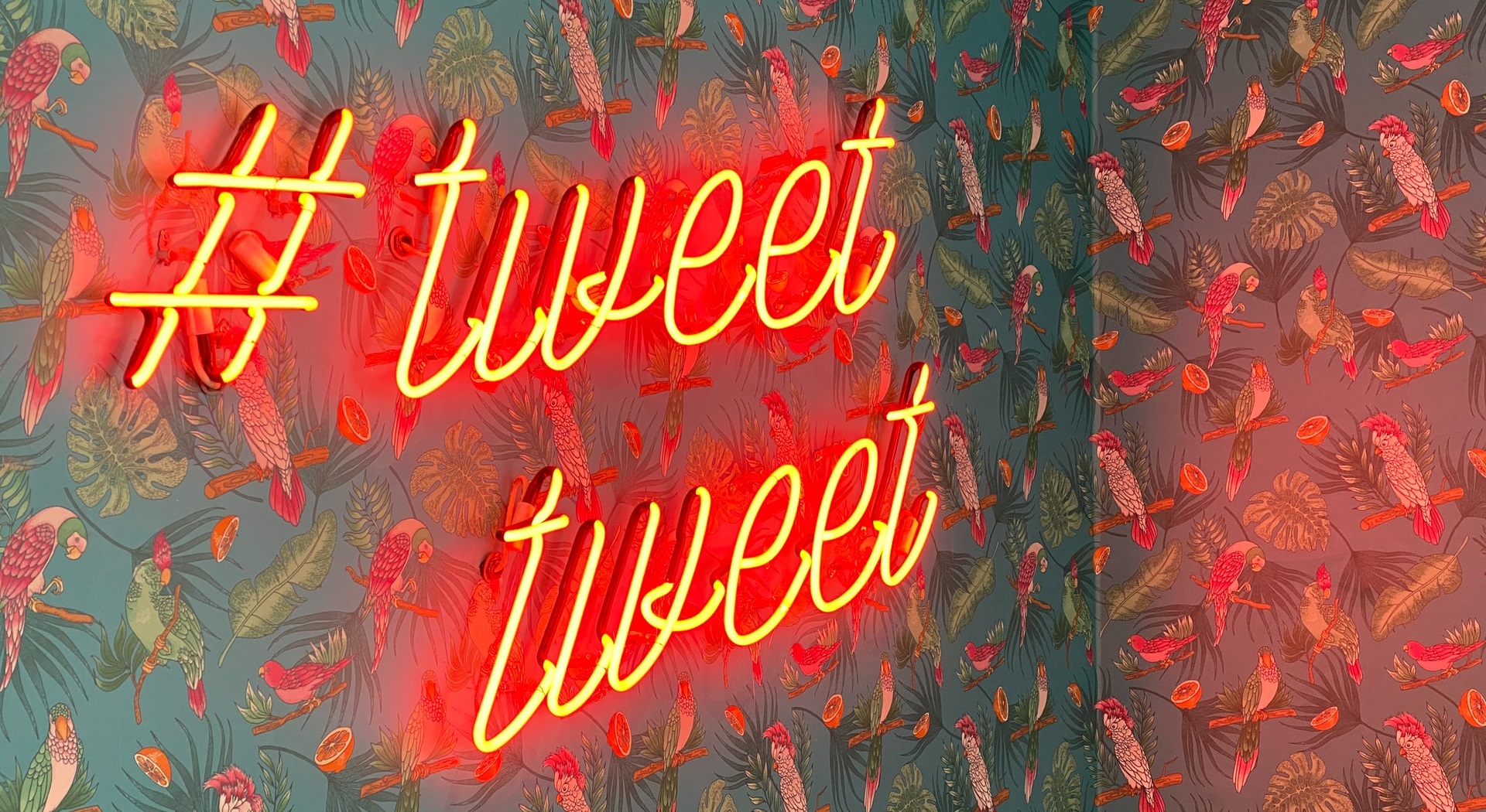 blogartikel: N°5 De Twitterende Liberaal